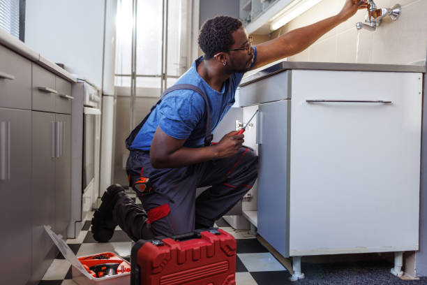 Best Garbage Disposal Repair and Installation  in Petaluma, CA